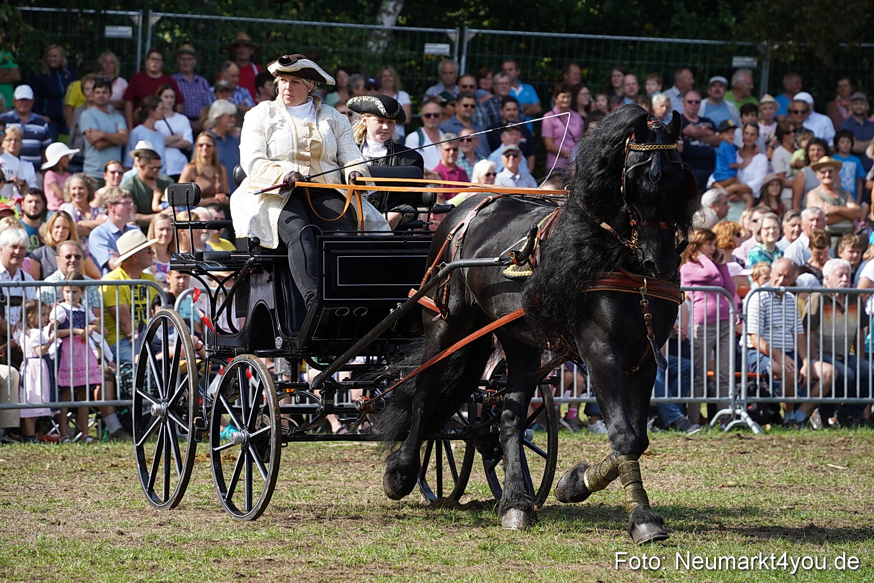 Pferde und Fohlenschau 2022 0200 